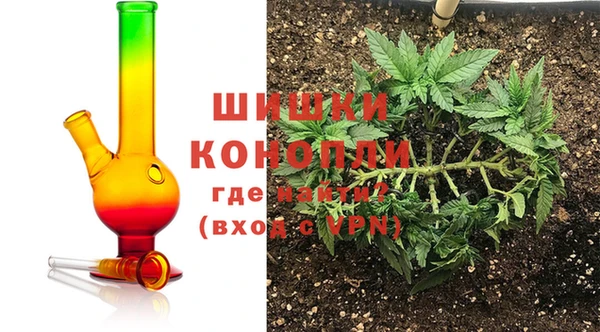 эйфоретик Вяземский