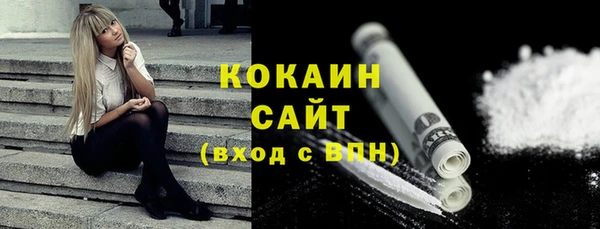 эйфоретик Вяземский