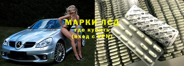 эйфоретик Вяземский