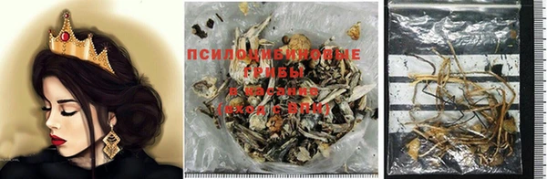 эйфоретик Вяземский