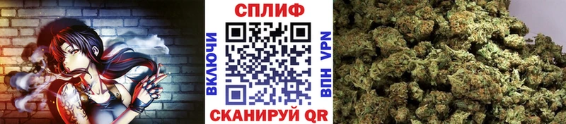 Купить где  Каспийск  Конопля конопля 